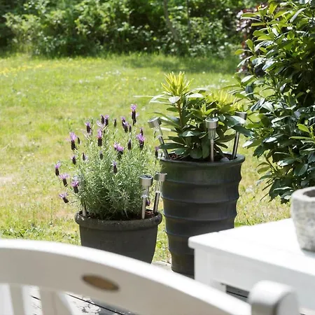 84147-ebeltoft-norre-lyngsbaekvej-26 Holiday home *